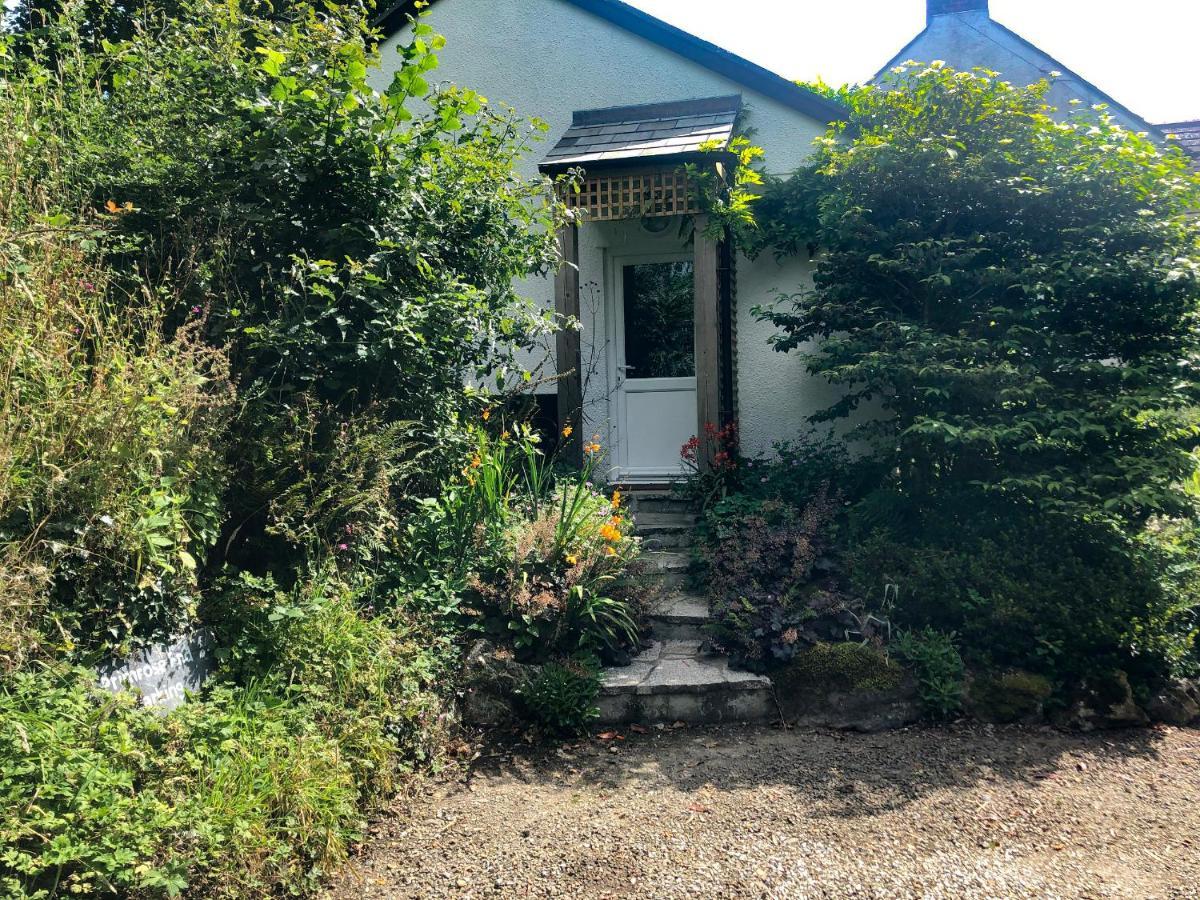 Primrose End Villa Bude Exterior photo